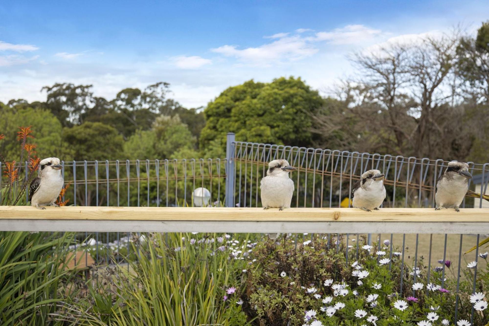 Metung Holiday Villas ภายนอก รูปภาพ